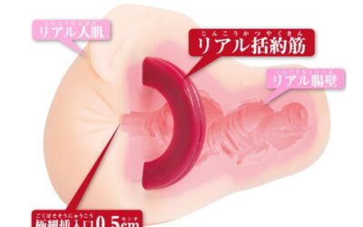Japanisches Sexspielzeug: Alles über Onaholes